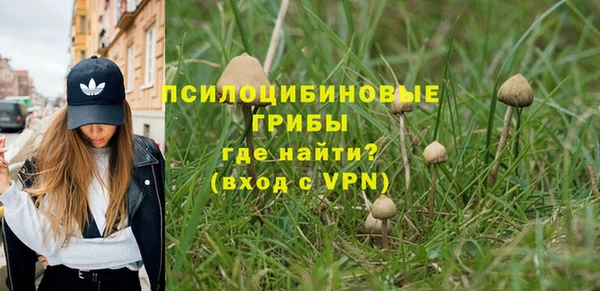 мет Каменка