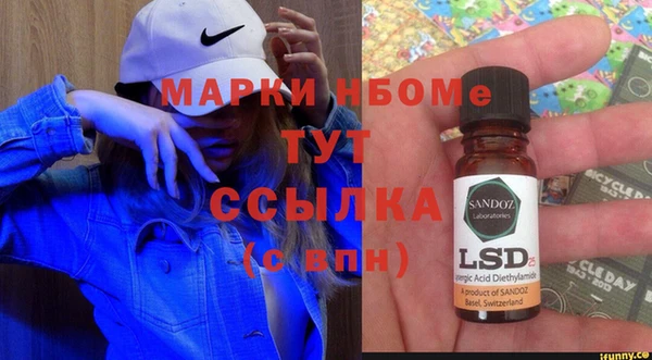 амф Каменногорск