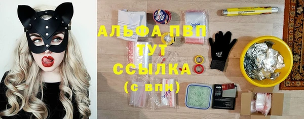 мет Каменка