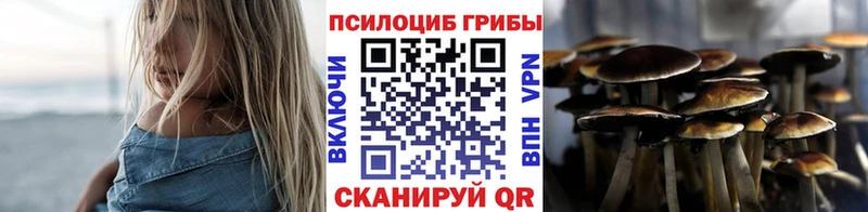 Галлюциногенные грибы GOLDEN TEACHER  Купить  Плёс 